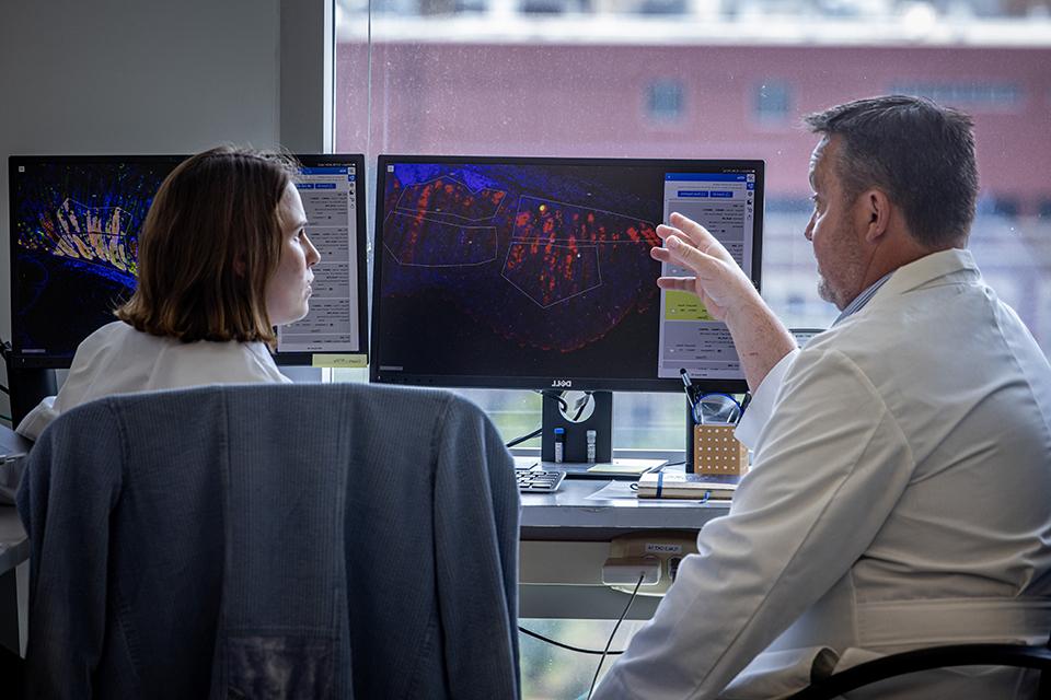 两个研究人员坐在实验室里讨论电脑屏幕上的图像.
